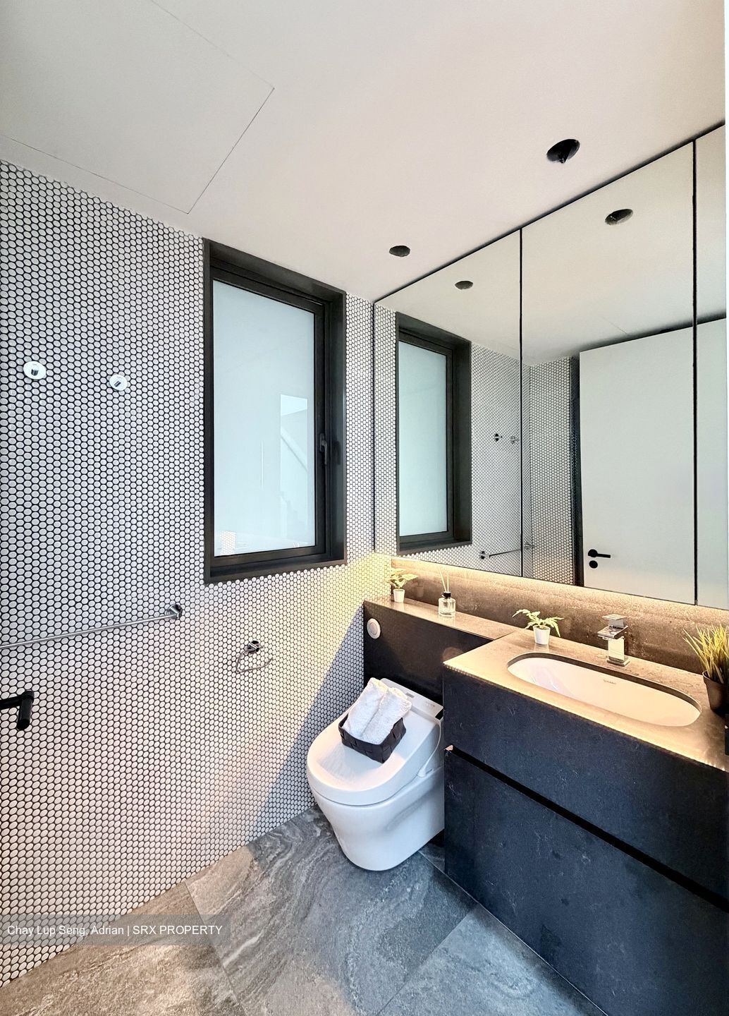 10 Evelyn (D11), Apartment #554408671